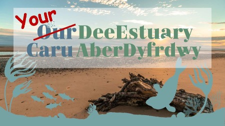 Our Dee Estuary July 2025