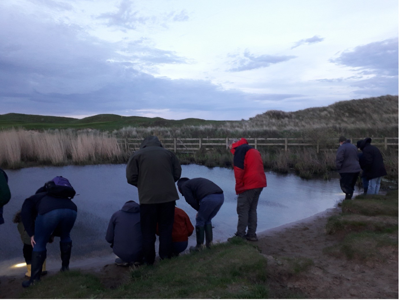 Our Dee Estuary wildlife surveys at Red Rocks nature reserve