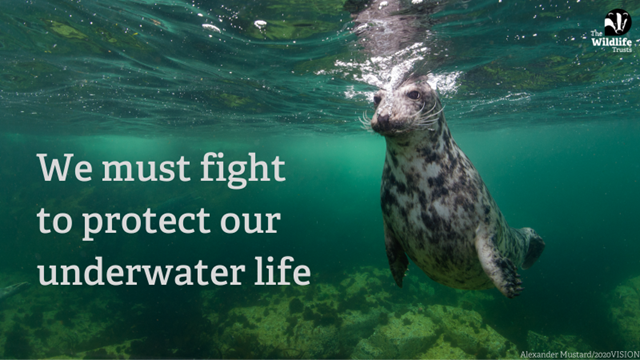 Sept 2022 protect marine areas