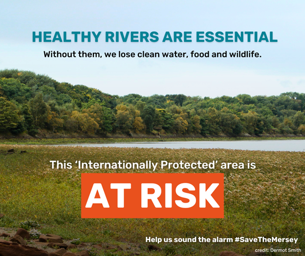 Healthy Rivers are essential